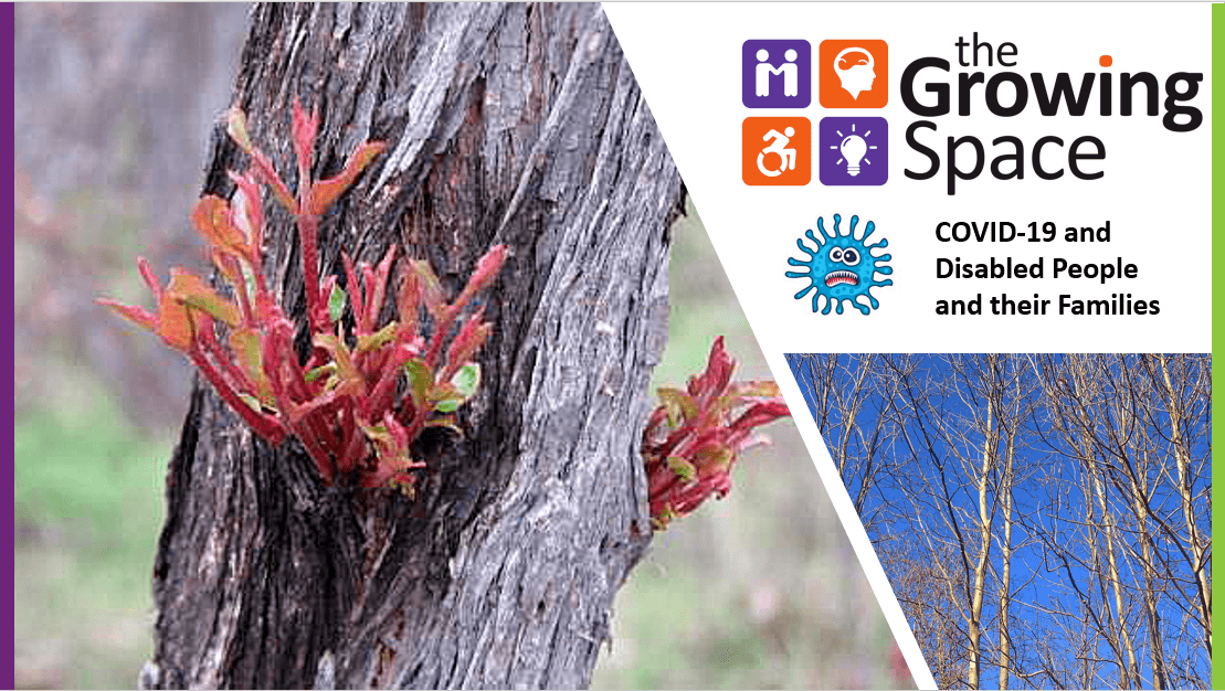 slide cover covid19 26-3-20 first slide screenshot featuring trees, TGS logo and a covid icon