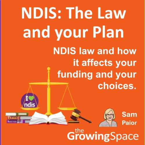 Our bright orange picture with the title ‘NDIS: The Law, Changes, and Your Plan’, Sam's caricature, her name, and TGS logo. Bottom left is a clipart picture of scales with books, a gavel, and the "I heart NDIS" logo.