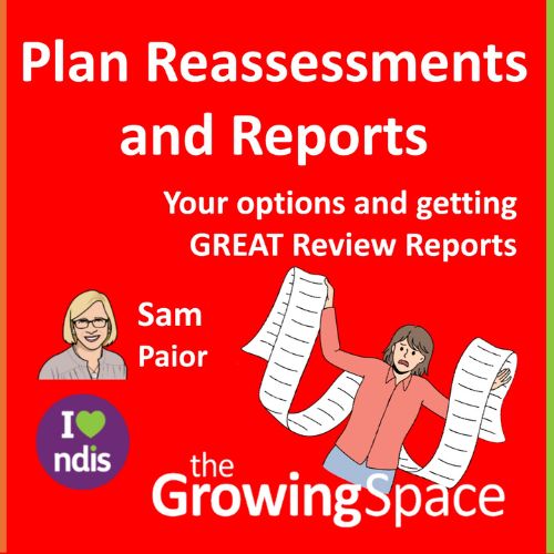 Our bright red picture with the title 'Plan Reassessments and Reports. Your options and getting GREAT Review Reports', Sam's caricature, her name, TGS logo and the 'i heart NDIS' logo. On the right is a clipart picture of a person holding a long piece of paper and looking overwhelmed.
